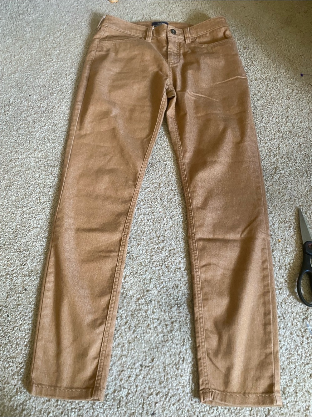 The North Face Women's Tungsted Pants- read description